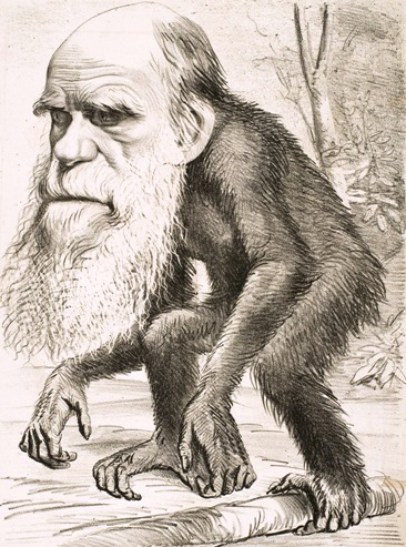 Fig. 4 - Charles Darwin.jpg