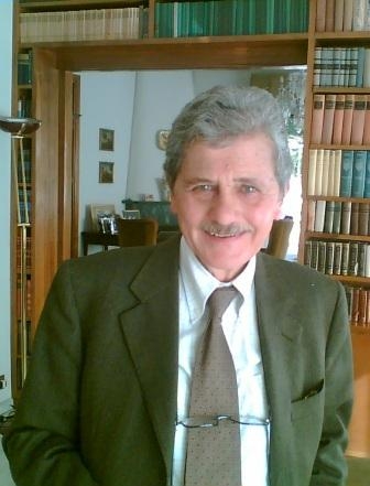 aa fig. 2 - prof. Federico Sorrentino.JPG