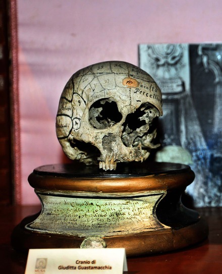 fig. 19 - Cranio di Giuditta Guastamacchia.jpg