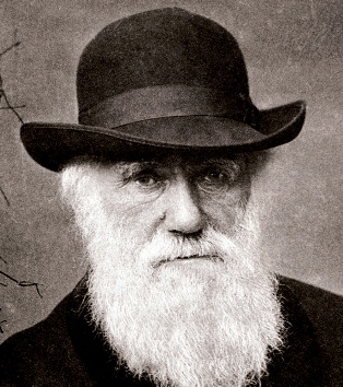 fig. 4 -Charles Darwin.jpg