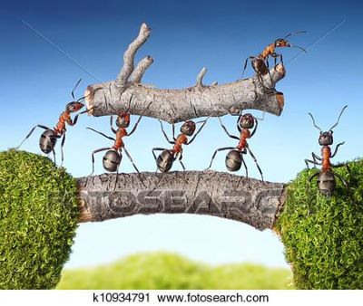 squadra-di-formiche-portare.jpg