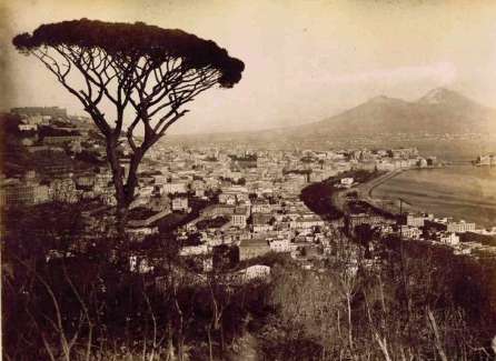 tav. 3 -foto di Sommer Giorgio (1834-1914).jpg