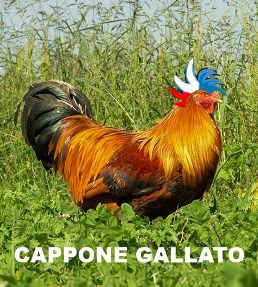 Cappone gallato.jpg