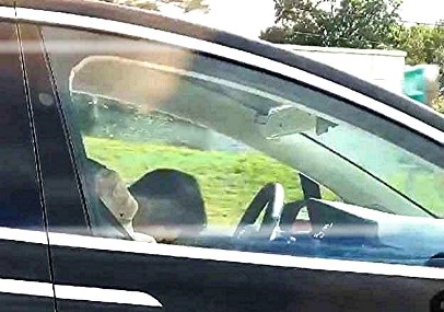 Dormono a 90 Km l'ora.jpg