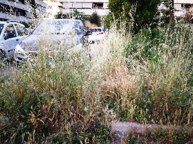 Giardini della Bufalotta.jpg