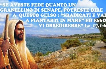 LC 17, 1-6 .jpg