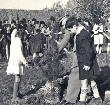 La-Festa-degli-alberi (2).jpg