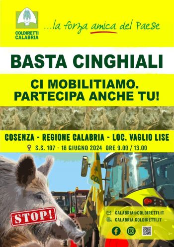 Locandina cinghiali.jpg