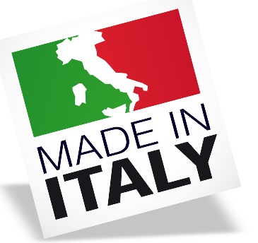 Made in Italy-Logo.jpg