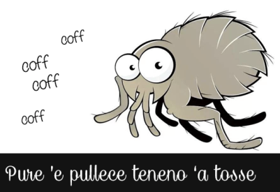 Pure le pulci hanno la tosse.png