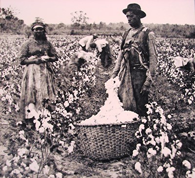 Schiavi del cotone in America.jpg