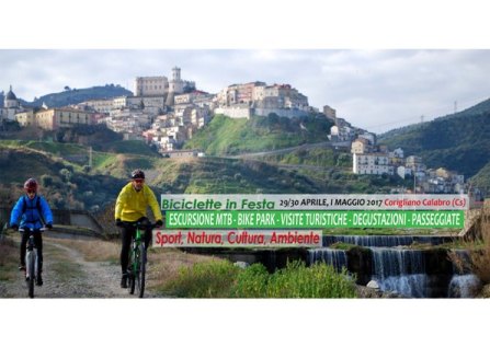 bici excu.jpg