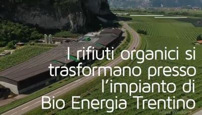 bioenergia.jpg
