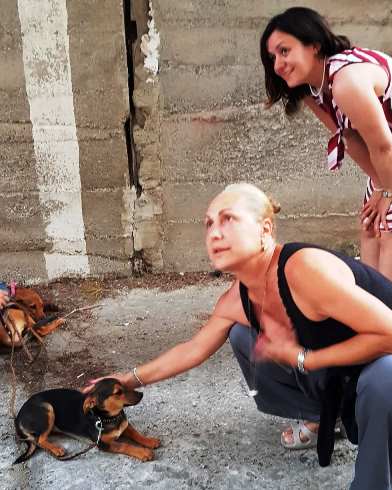 celentano e cani.jpg