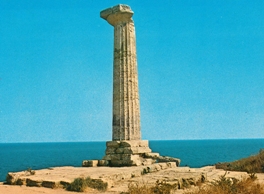 colonna.jpg
