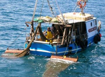 corigliano pescatori.jpg