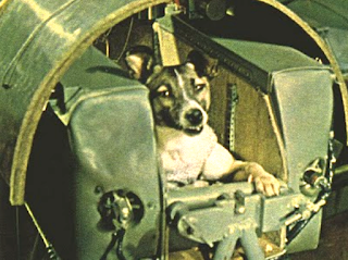 fig. 05 - Laika.png