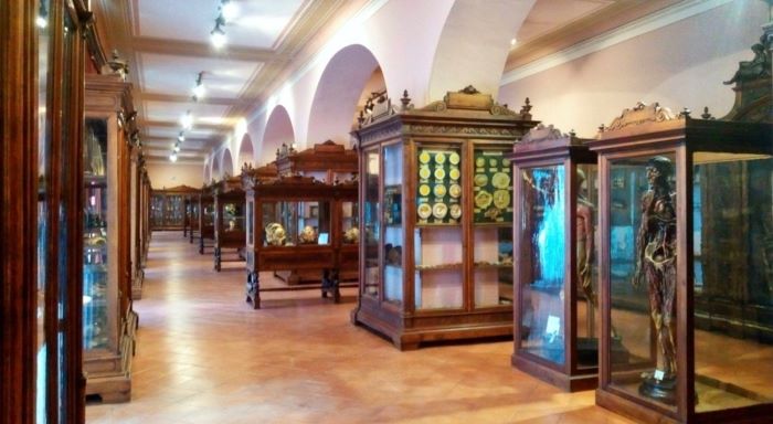 fig. 12 - Corridoi del museo di anatomia umana.jpg
