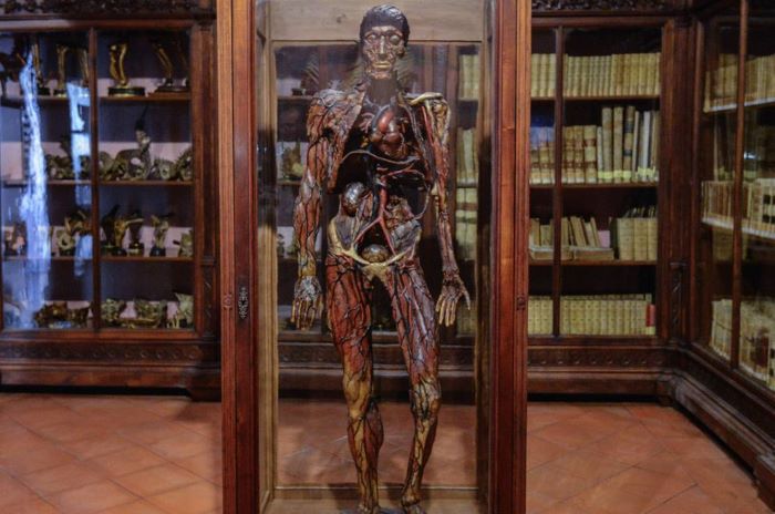 fig. 15 - Scheletro di un gigante.jpg
