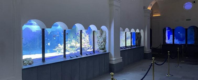 fig. 8 - Acquario interno.jpg