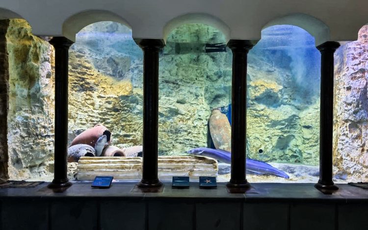 fig. 9 - Acquario interno.jpg