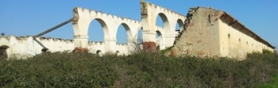 gadella_oggi.jpg