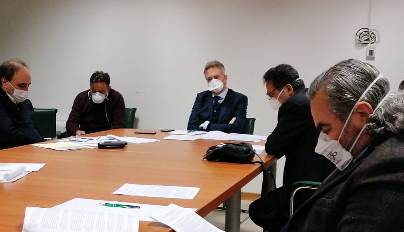 gallo incontro.jpg