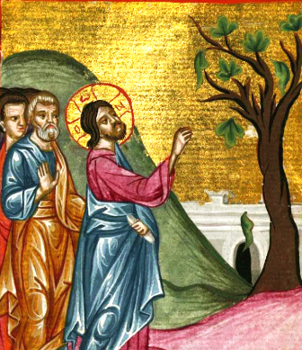 gesu e il fico.png