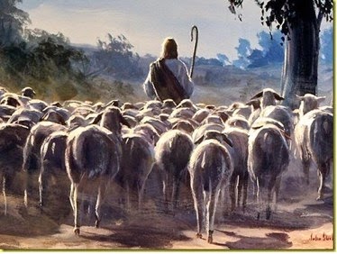 gesu_pastore-amos.jpg