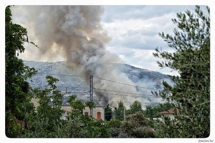 incendio villapiana.jpg