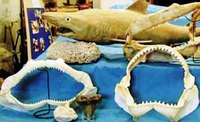 museo del mare.jpg