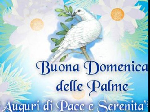palme.jpg