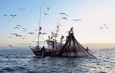 pescatori