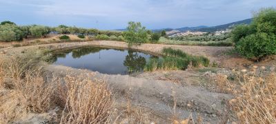 riserva acqua paludi.jpeg