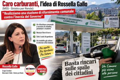 rossella gallo M5S rende_carburanti.png