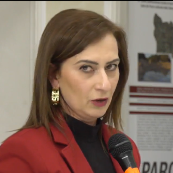 sofia maimone1.png