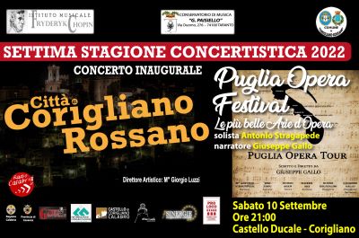 stagione concertistica.jpeg