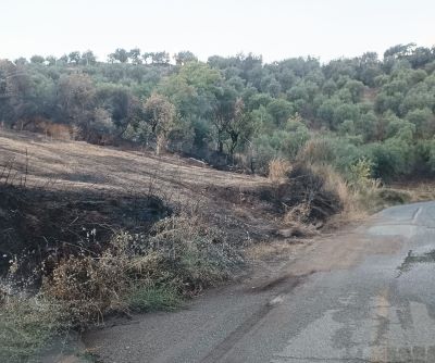 strada_sp_Cassano.jpg