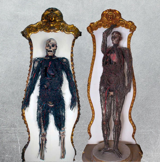 tav. 8 - Macchine anatomiche.png
