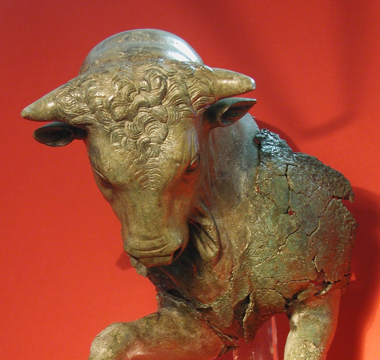 toro cozzante.jpg