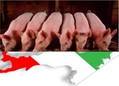 trogolo italiano.jpg