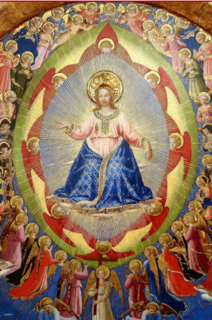 vangelo 1&deg;nov.png