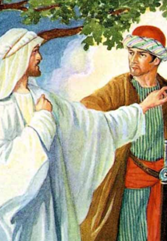 vangelo 27 sett.png