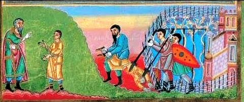 vigneti.jpg