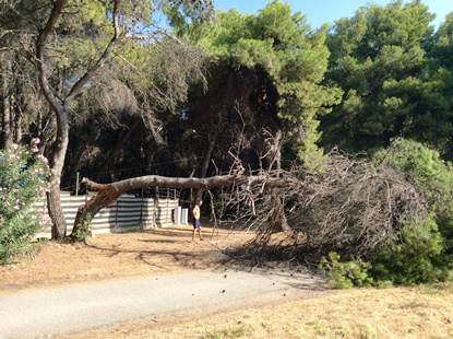 villapi.JPG