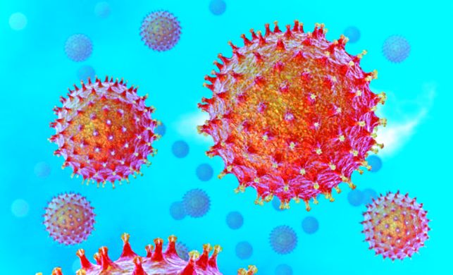 virus.jpg